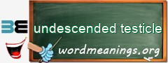 WordMeaning blackboard for undescended testicle